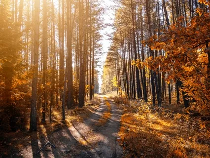 Remembrances (Adopted From Thich Nhat Hanh)