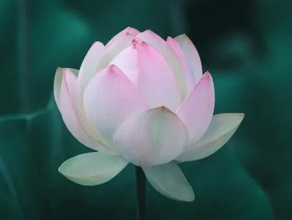 Remind Me True - Support For The Spiritual Journey