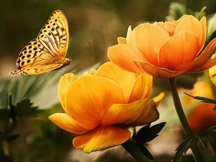 Reminder: Good Or Bad, This Too Shall Pass