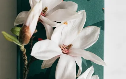 Reminder: Pain Does Not Disappear By Ignoring It