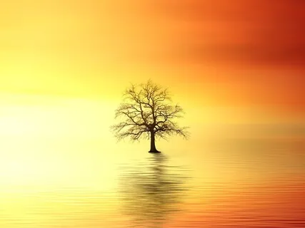 Reminder: The Present Moment Is All That Exists