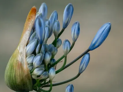 Reminder: The Sense Of Self Is An Illusion