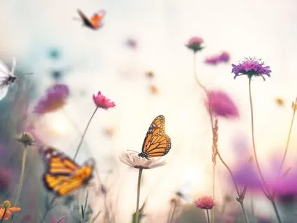 Remote Viewing Your Body For Healing