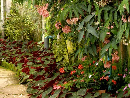 Remove 9 Obstacles To Succeed In Meditation 