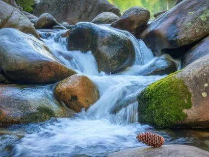 Remove All Blockages | 93.96 to 4225 Hz Tuning Fork Stack