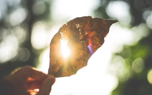 Remove All Negative Energy Guided Meditation