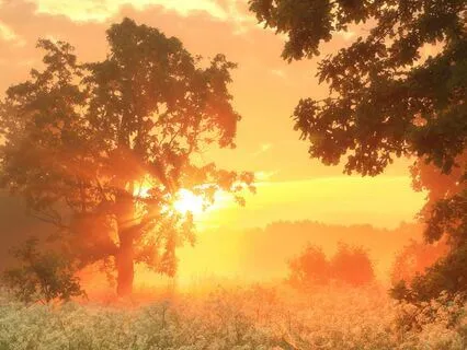 Remove Negative Energy 417 Hz + 432 Hz + 444 Hz Tuning Forks