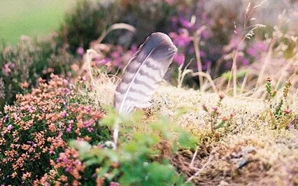 Remove Negative Energy From Your Home