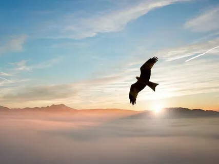 Remove Negative Obstacles (396Hz)