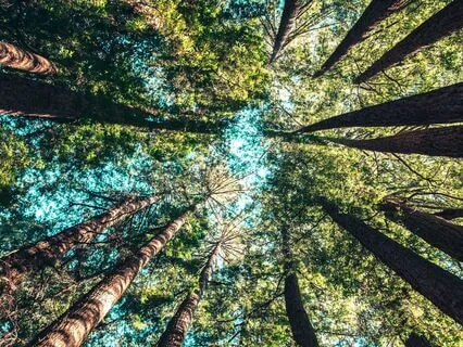 Remove Psychic Attack With Dagger Lifting