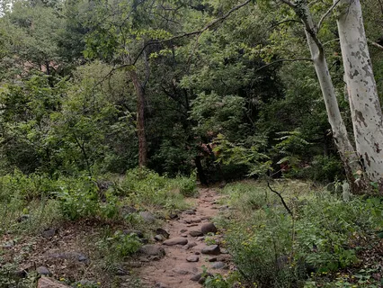 Remove Resistance Towards Manifestations 