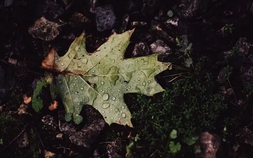 Remove Stress And Trauma