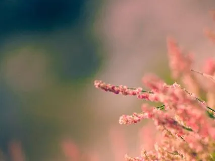 Remove Stress & Anxiety: Music For The Senses