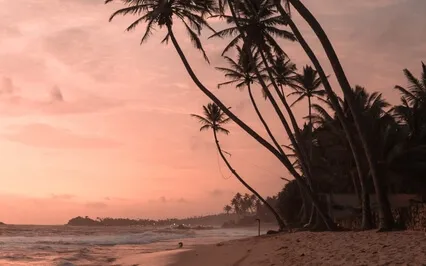 Remove Subconscious Blockages (528Hz)