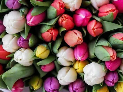 Remove The Cause Of Sorrow - Happiness