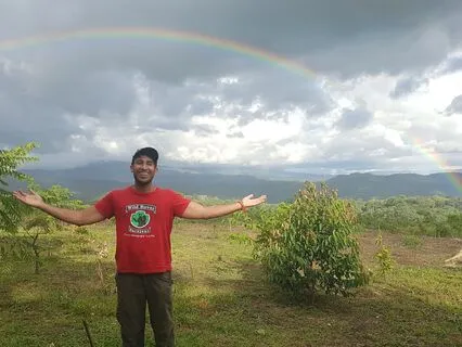 Remove The Noise, Return To You