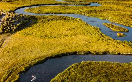 Remove Toxins & Infections - 741Hz Healing Meditation Music