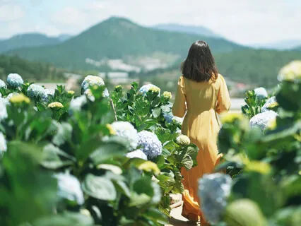 Remove Trauma (432Hz)