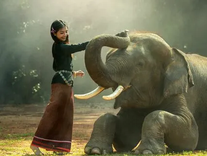 Removing Barriers To Love: A Bedtime Journey With Rumi