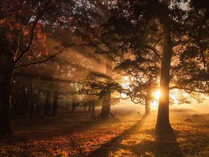 Removing Heavy Feelings Off