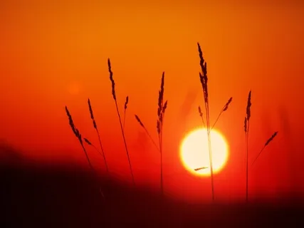 Removing Negative Portals Meditation