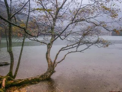 Removing Stagnant Energy With Rainfall