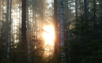 Removing The Walls To Loving Surrender