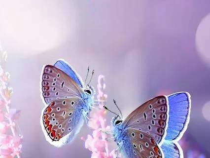 Rendezvous With Your Emotions