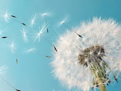 Rendezvous With Your Thoughts