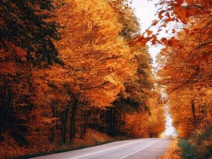 Renew Body - Cleanse Negative (Harmony)