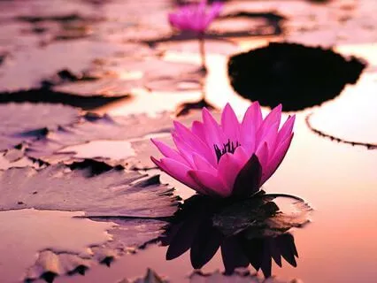 Renew & Release: Healing Waters at 396Hz & 417Hz