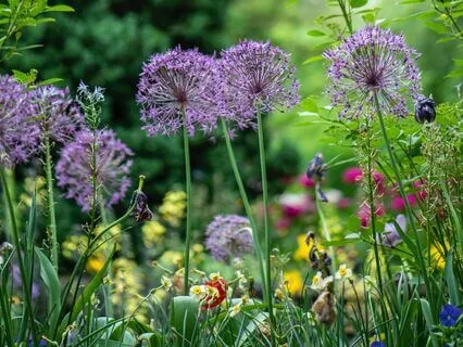 Renew Your Mind Meditation