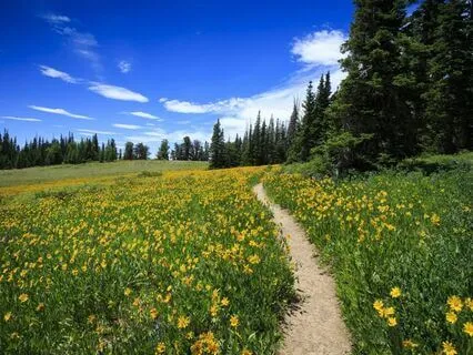 Renew Your Motivation To Meditate