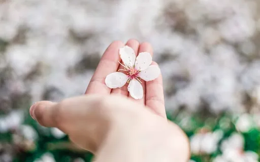 Renewal Affirmations - Spring Joy 