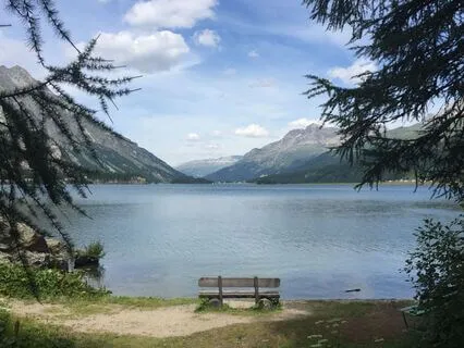 Renewal And Strength: Meditation For Body And Mind