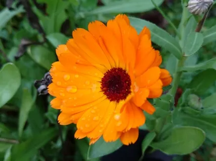 Rensa ut och släpp taget (kort version)