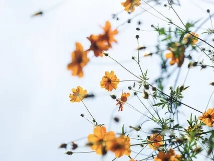 Repatterning Meditation With Focus On Memory Reconsolidation