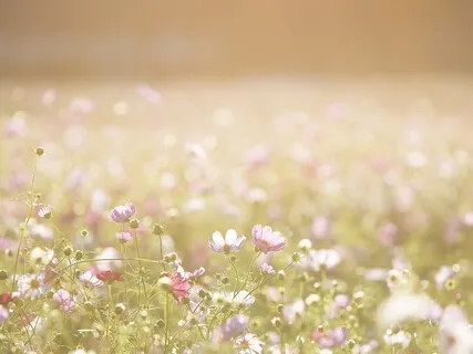 Repetition Key to Happiness