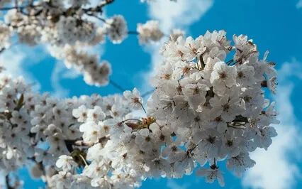 Repetitive Thoughts Guided Meditation