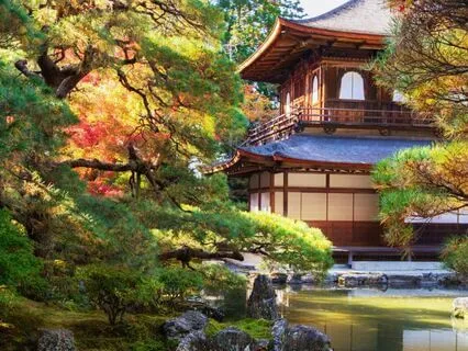 Replace Anger With Silence