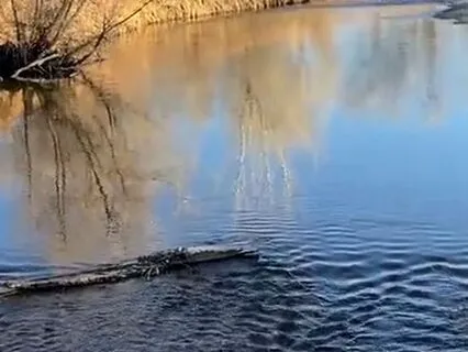 Replace Fear With Love