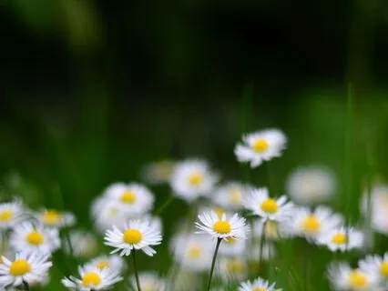 Replacing Limiting Beliefs On Love & Intimacy