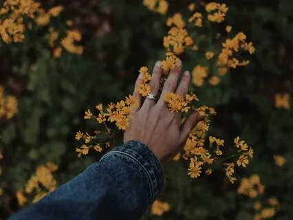 Replacing Thought With Sensation - Returning To Wholeness