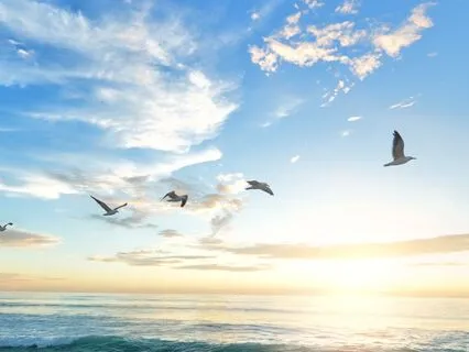 Reprogram Yourself At The Start Of Your Day