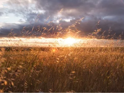 Reprogram Limiting Beliefs & Find Your Power And Peace