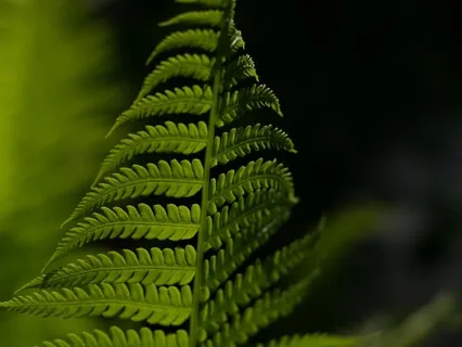 Reprogram The Breath 5-7-9