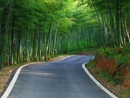 Reprogram Your Brain To Conquer Public Speaking