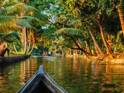 Reprogram Your Story: EMDR To Create New Neural Pathways