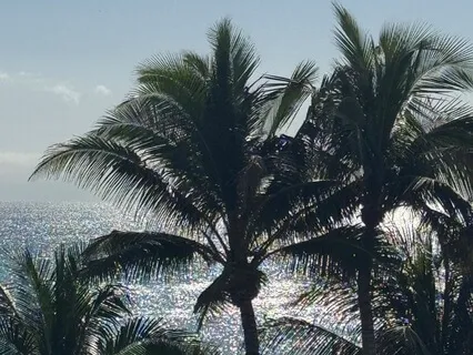 Reprogram Your Subconscious - Inner Child Healing