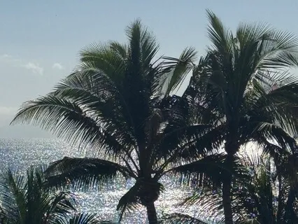 Reprogram Your Subconscious - Manifest Your Dream Life